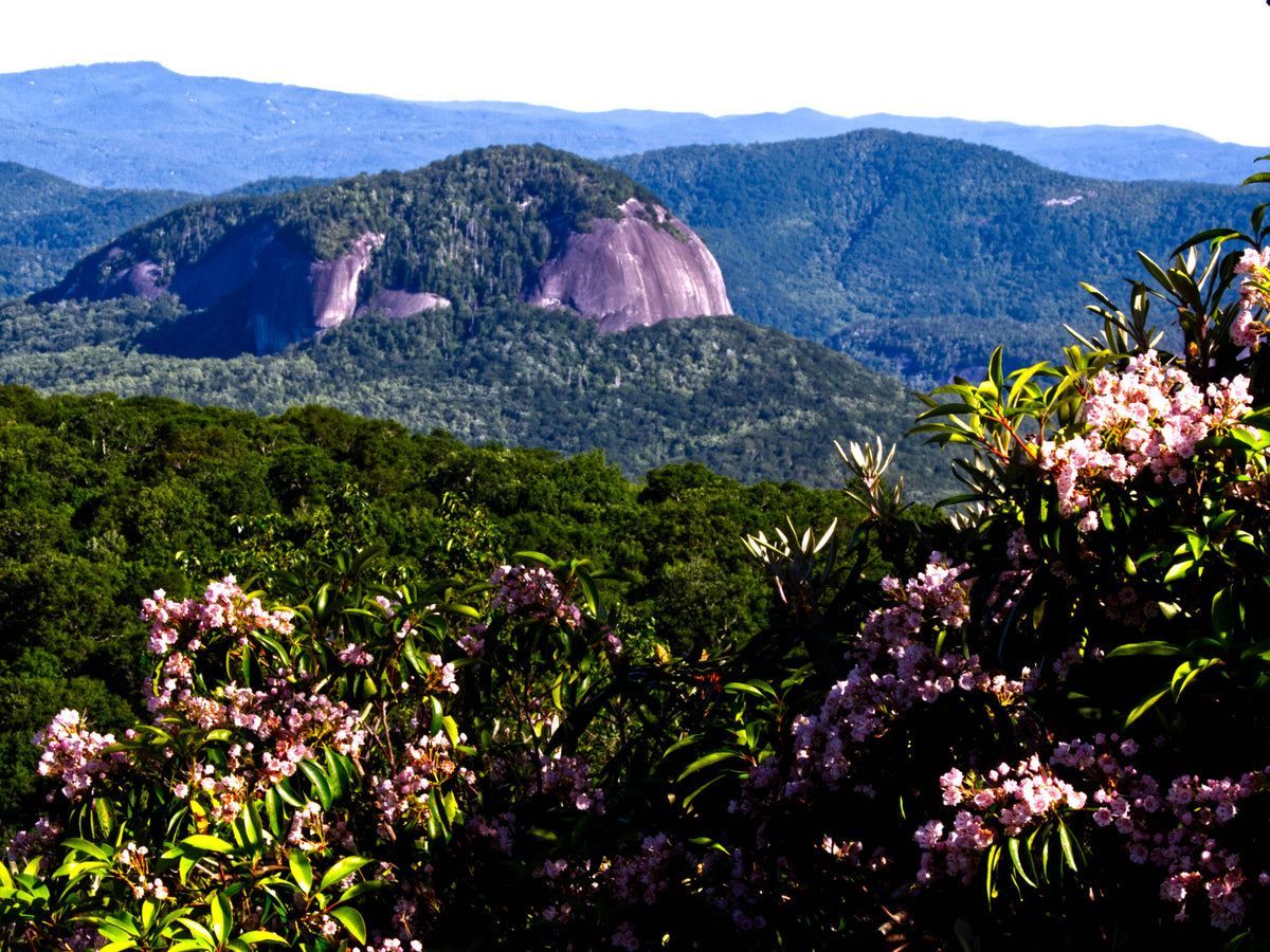 Looking Glass Rock