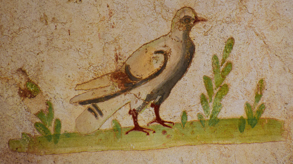 Bird Mosaic Interior Decoration, Ephesus
