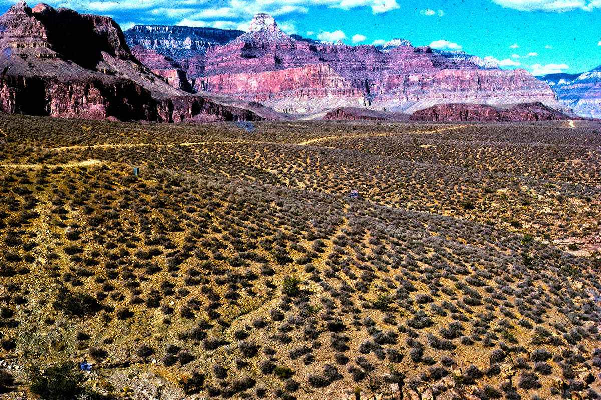 Bright Angel Trail at Tonto Plateau