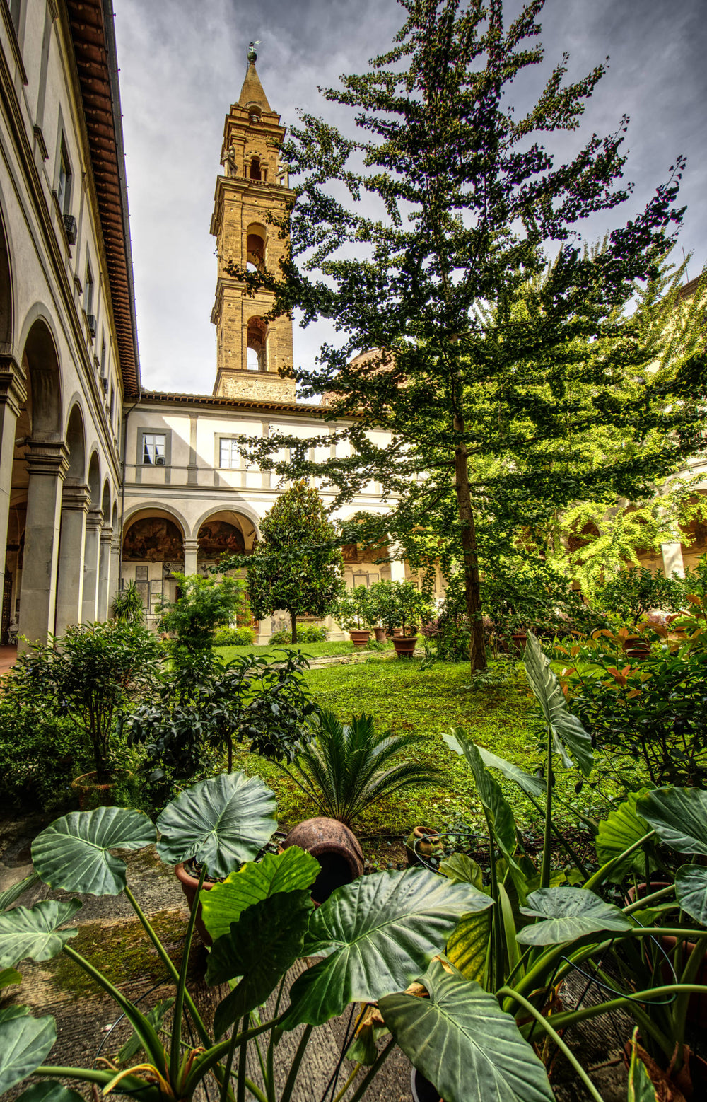Garden at Santo Spirito Florence