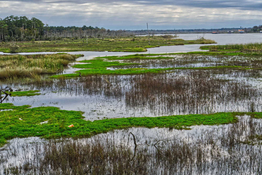 Tributary of St. Johns River, Duval County