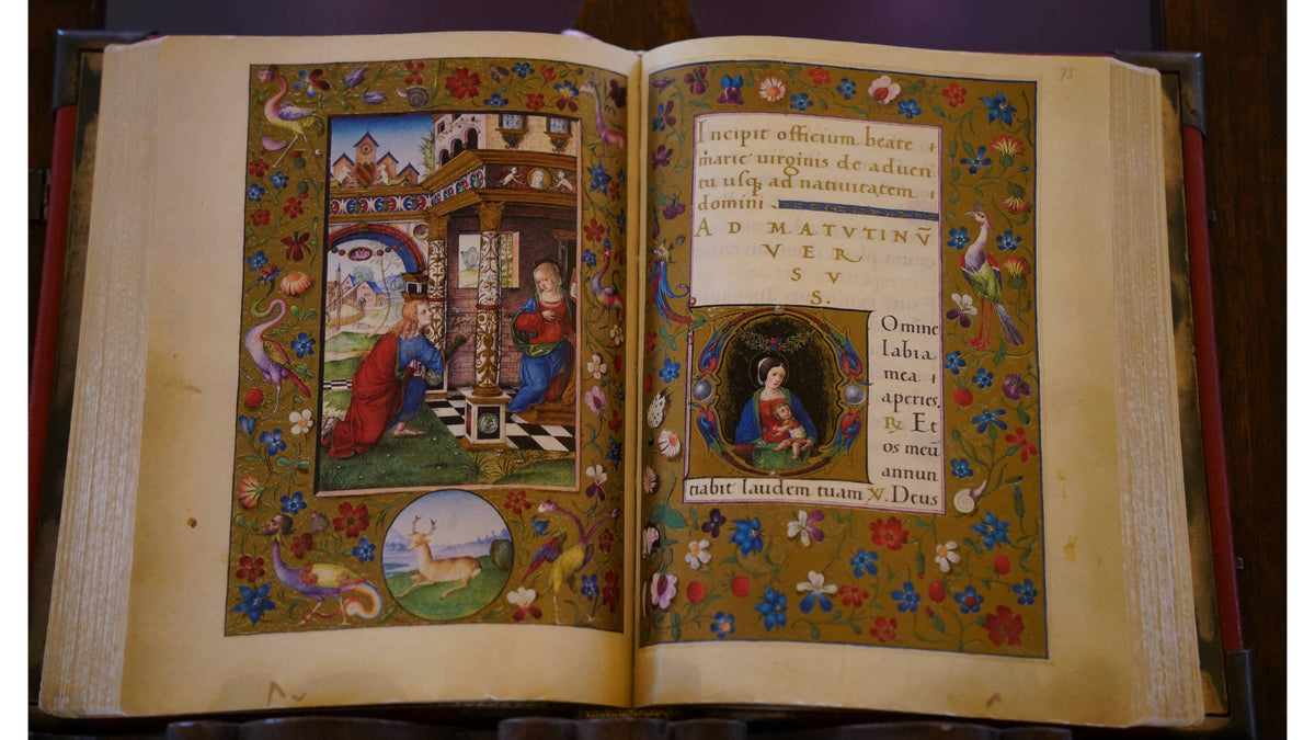 Book, [The Albani Hours] in Scuola Grande di San Marco, Venice