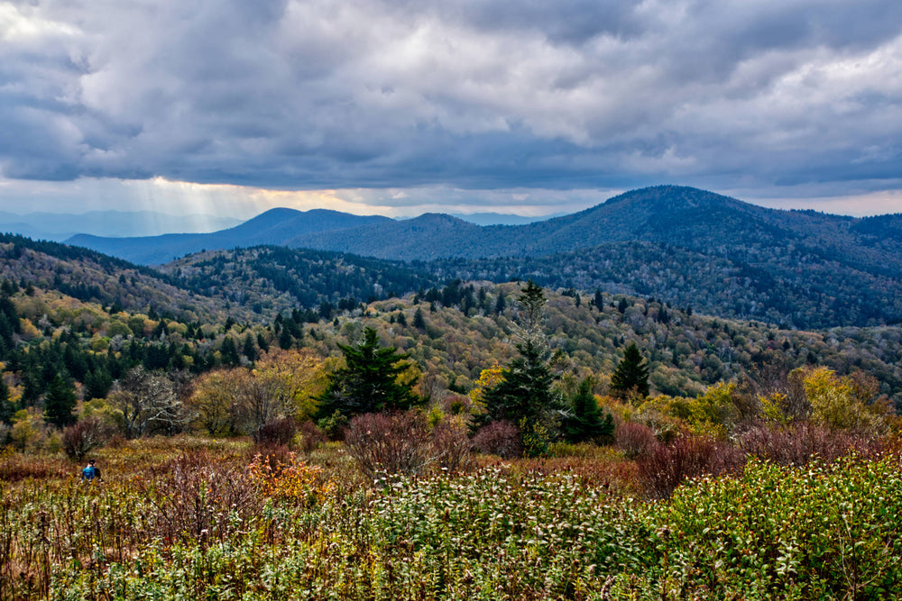Rough Butt Bald from Fork Ridge Meadow, Nantahala Natl. Forest