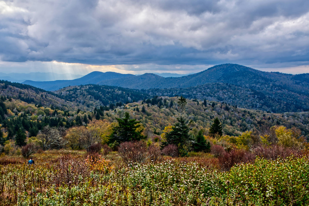 Rough Butt Bald from Fork Ridge Meadow, Nantahala Natl. Forest