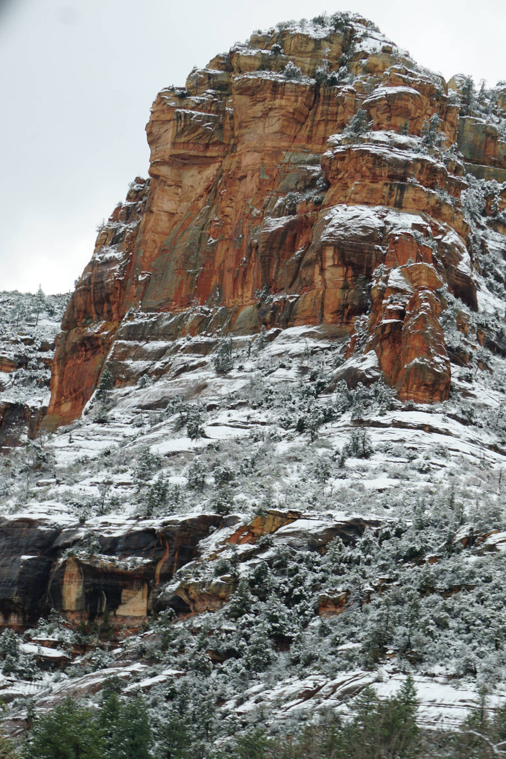Oak Creek Canyon Arizona