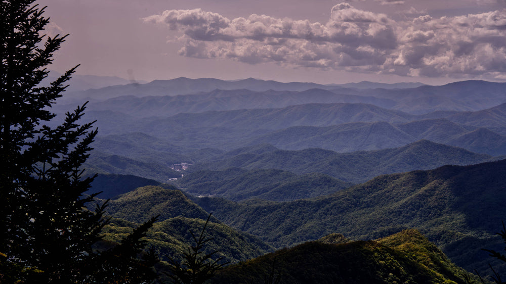 Looking West from Waterrock Knob, Nantahala National Forest