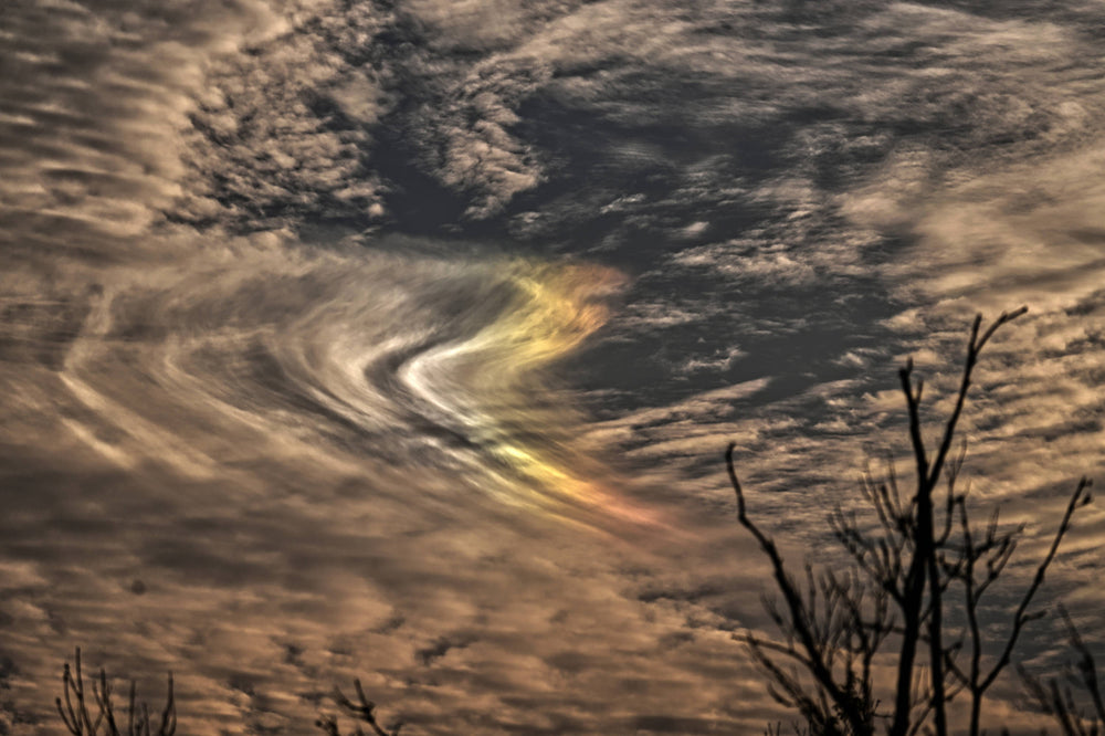 Cloud Checkmark