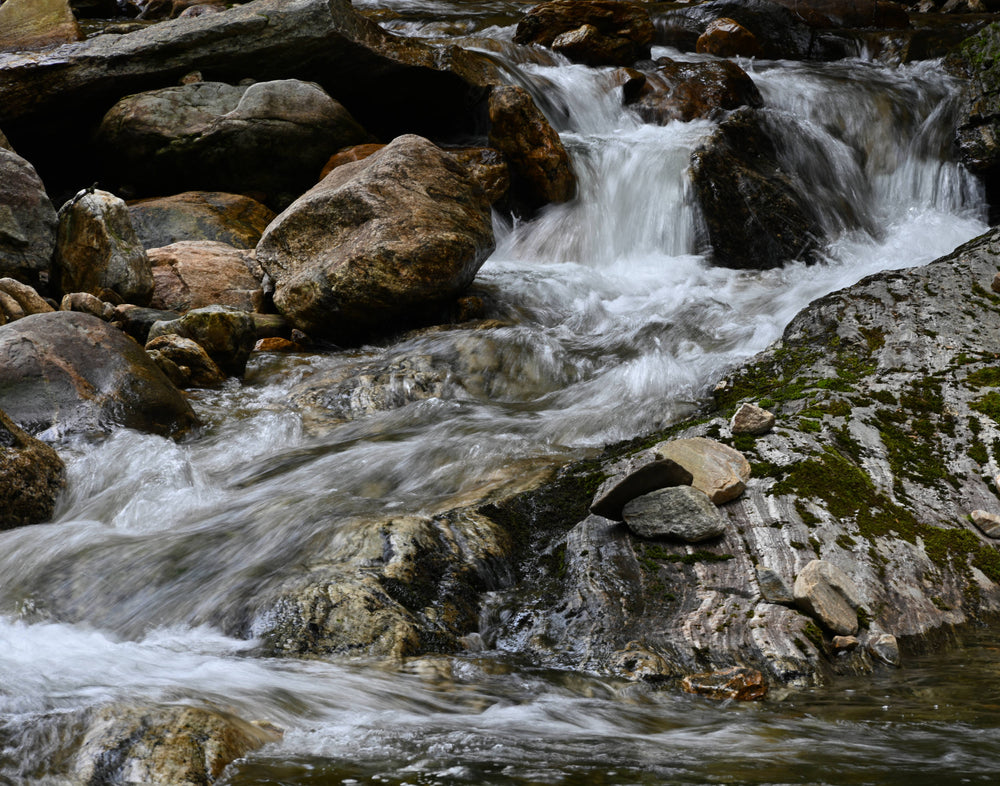 Greasy Cove at Bridges Camp Gap Trail, Shining Rock Wilderness