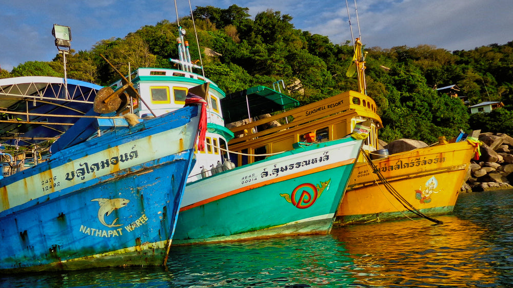 Fishing Boats in Bay at Koh Toa, Thailand