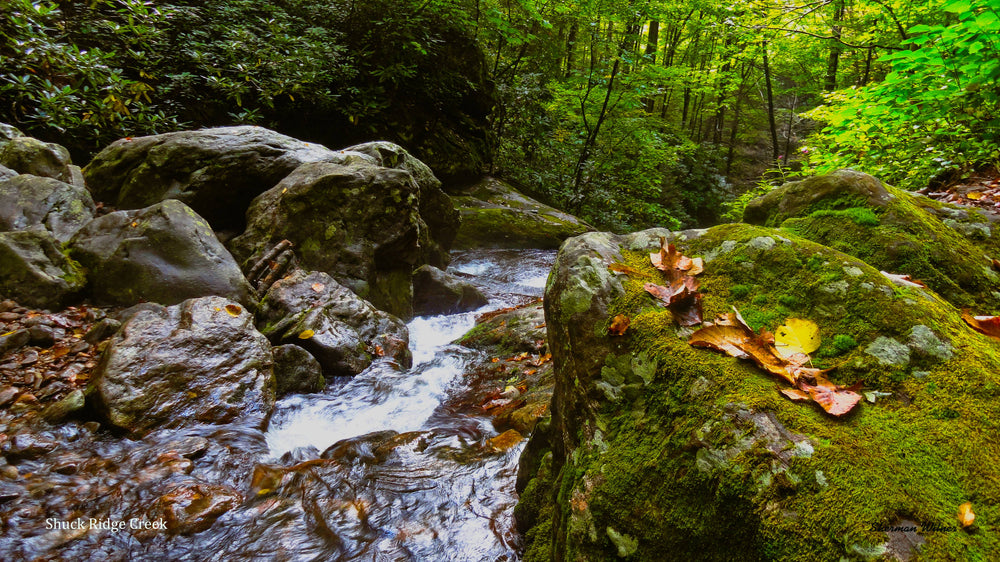 Shuck Ridge Creek Falls