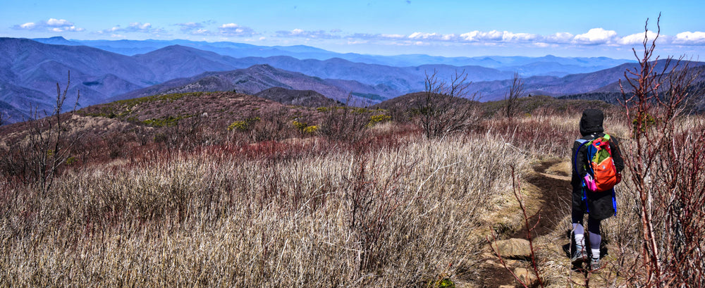 Looking West Along Art Loeb Trail, Black Balsam Knob