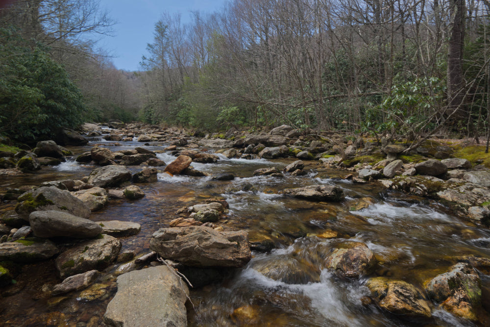 East Fork of the Pigeon River near Dark Prong Confluence