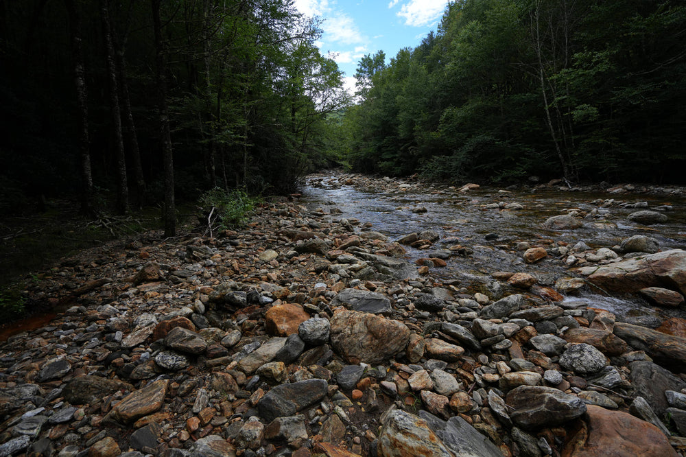 East Fork of the Pigeon River near Dark Prong