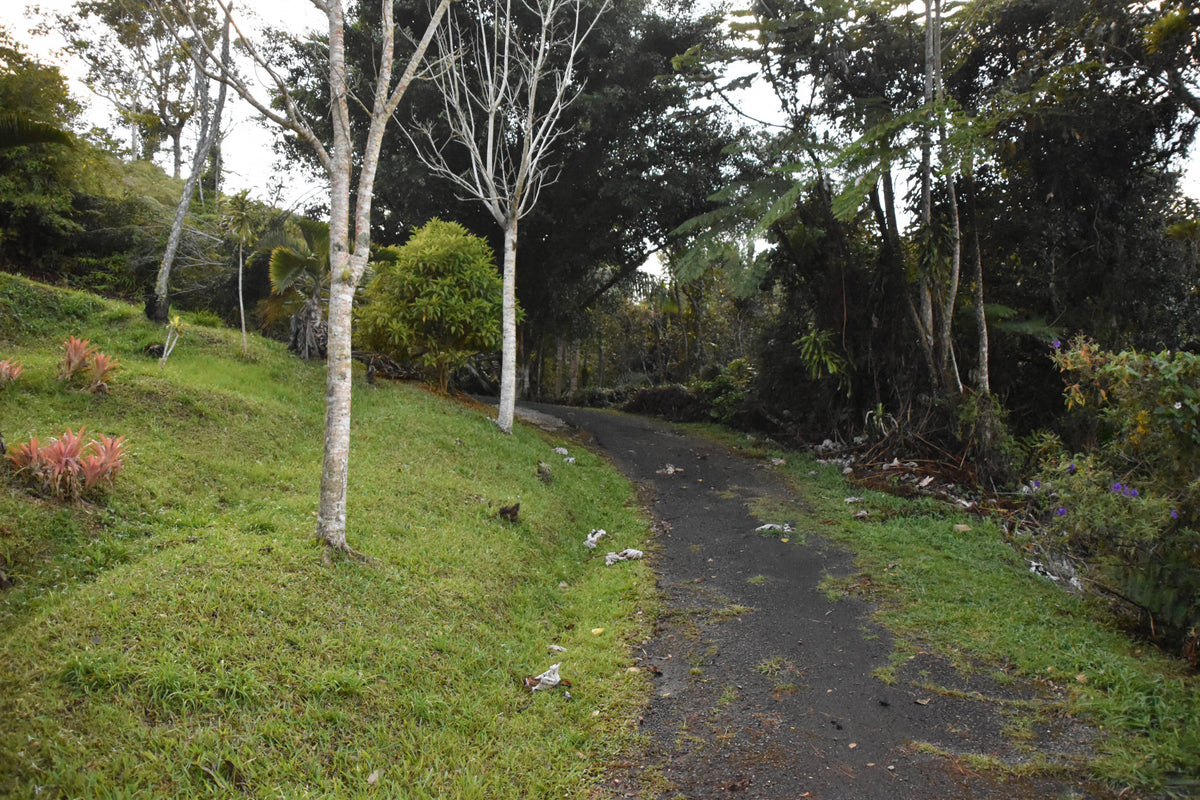 Rural Road, Utuado, Puerto Rico