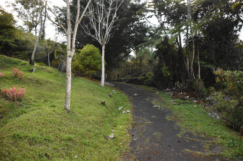 Rural Road, Utuado, Puerto Rico