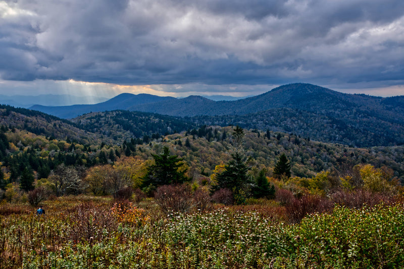 Rough Butt Bald from Fork Ridge Meadow, Nantahala Nat.Forest