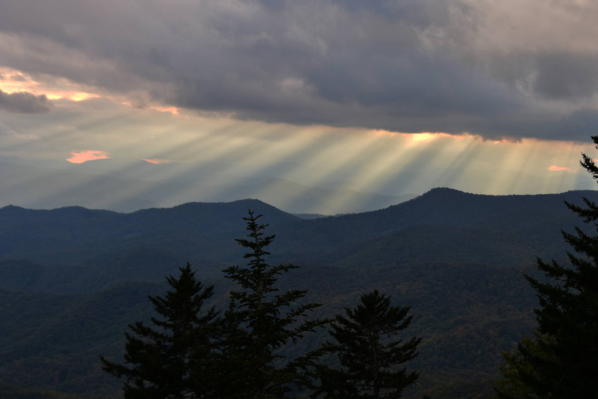 Sunbeams