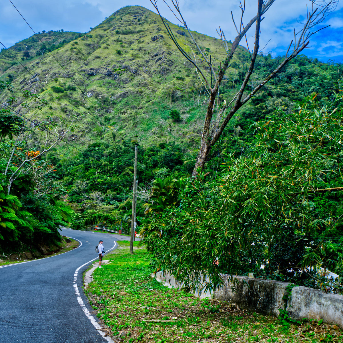 Mountainous Area near Utuado, Puerto Rico