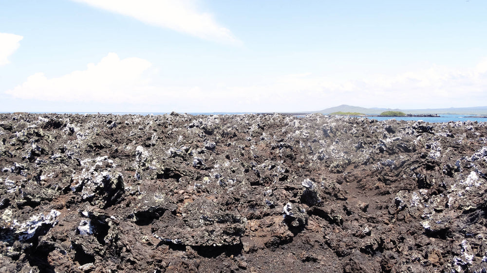 Isabela Galapagos Lava