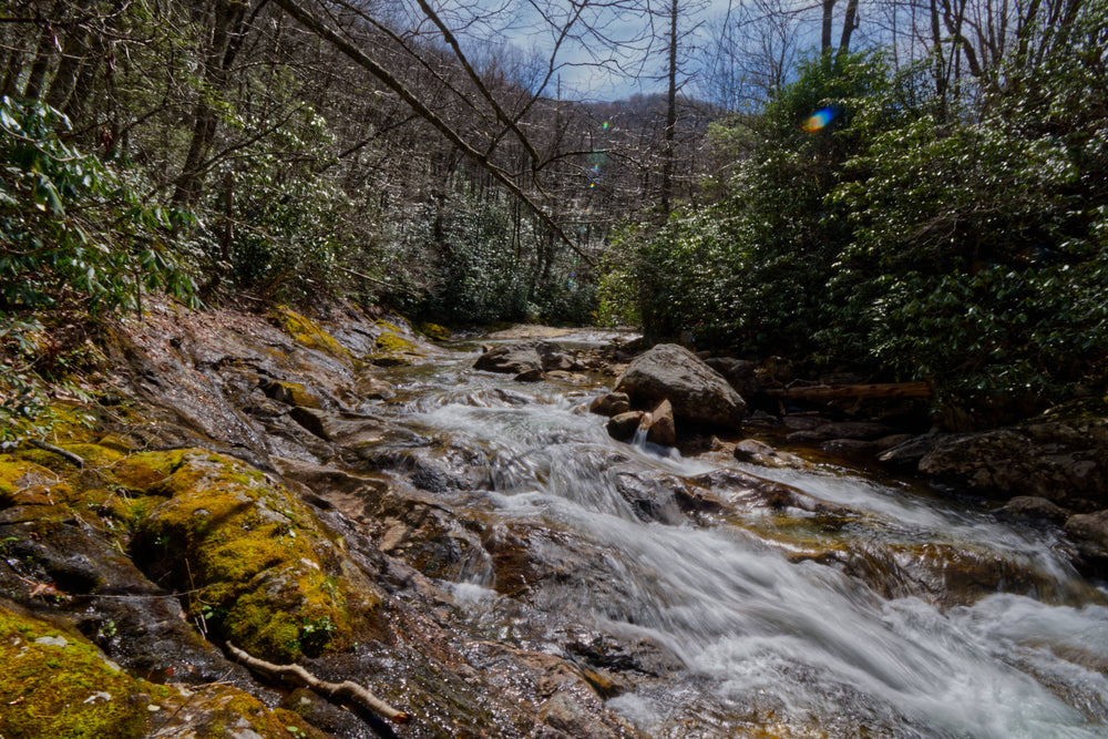 East Fork of the Pigeon River near Rocky Point