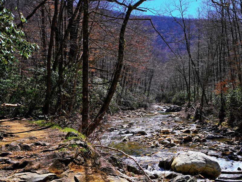Big East Fork of the Pigeon River