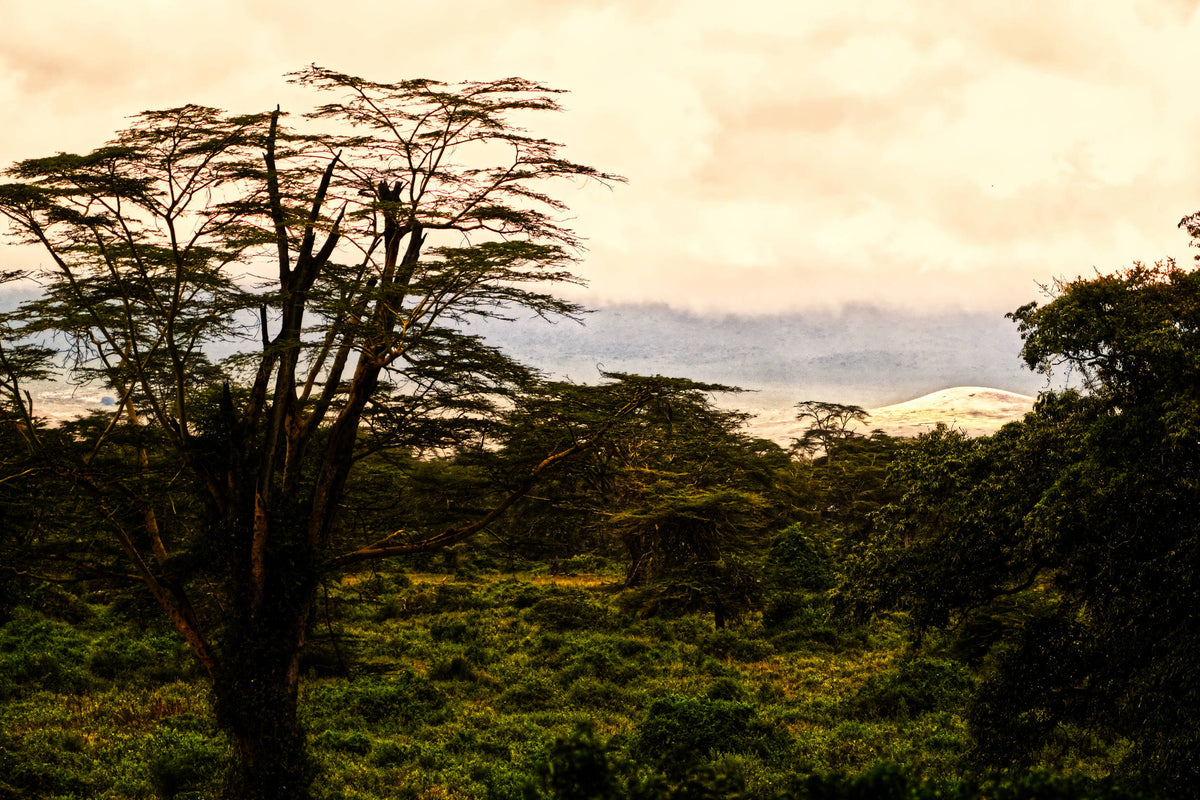 Ngorongoro Crater, Tanzania