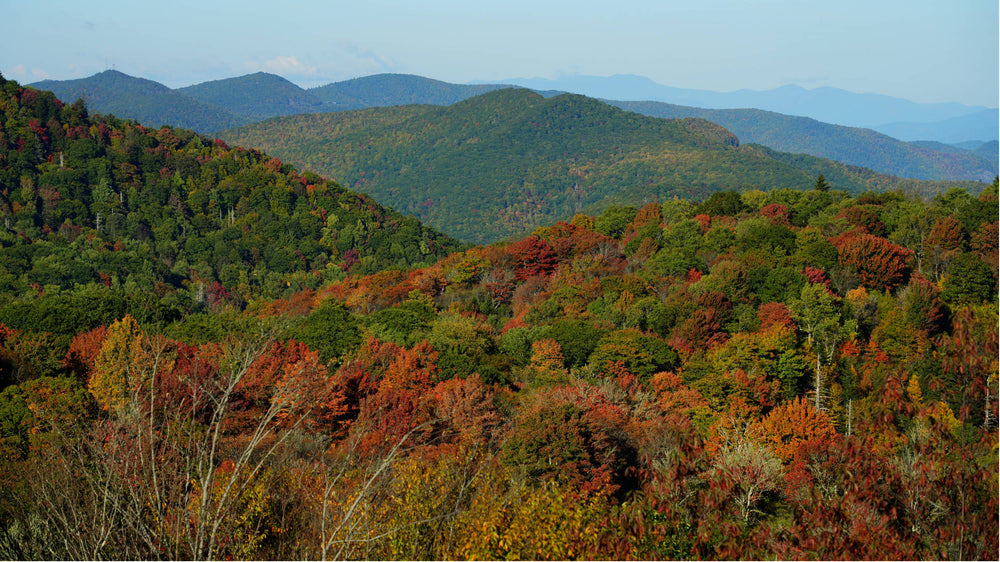 Green Knob, Haywood County, North Carolina