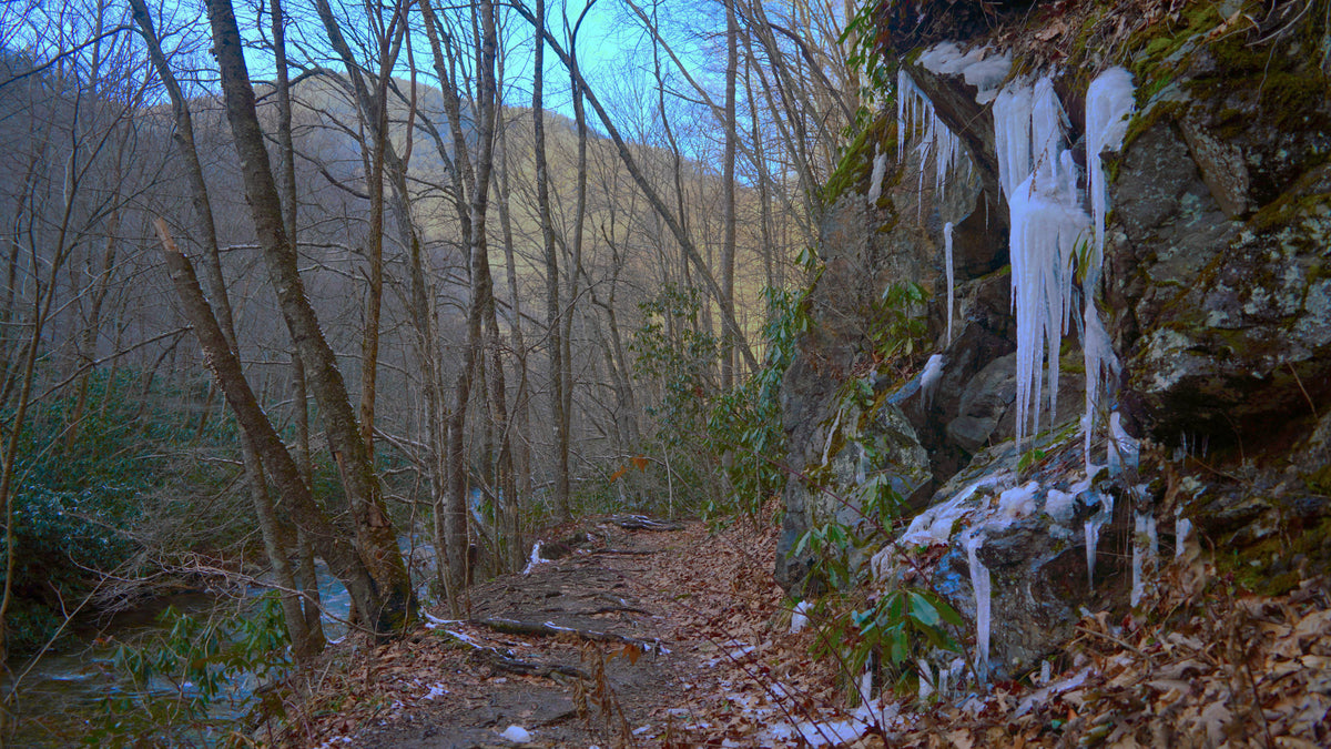 Big East Fork Trail in Shining Rock Wilderness