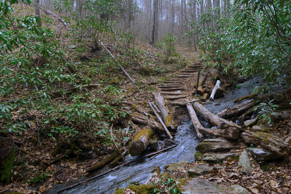 Bridge Failure at Pressley Creek