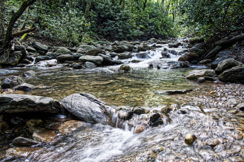 Pool along Shining Creek in Shining Rock Wilderness