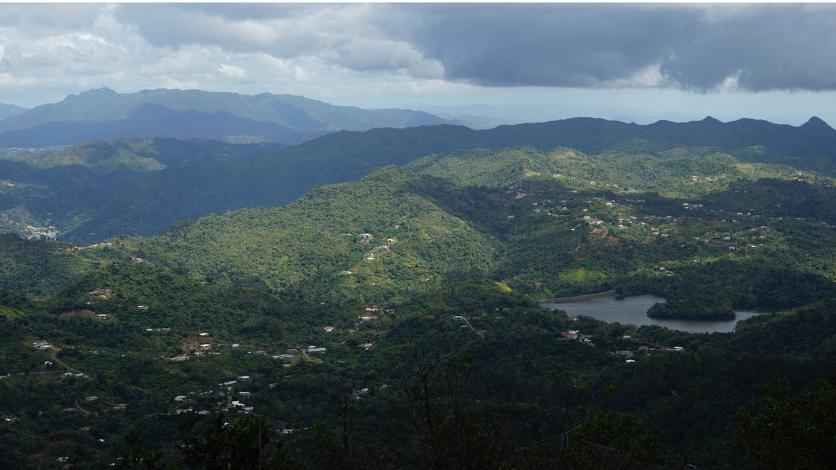 Largo Garzas viewed from Monte Guilarte, Puerto Rico