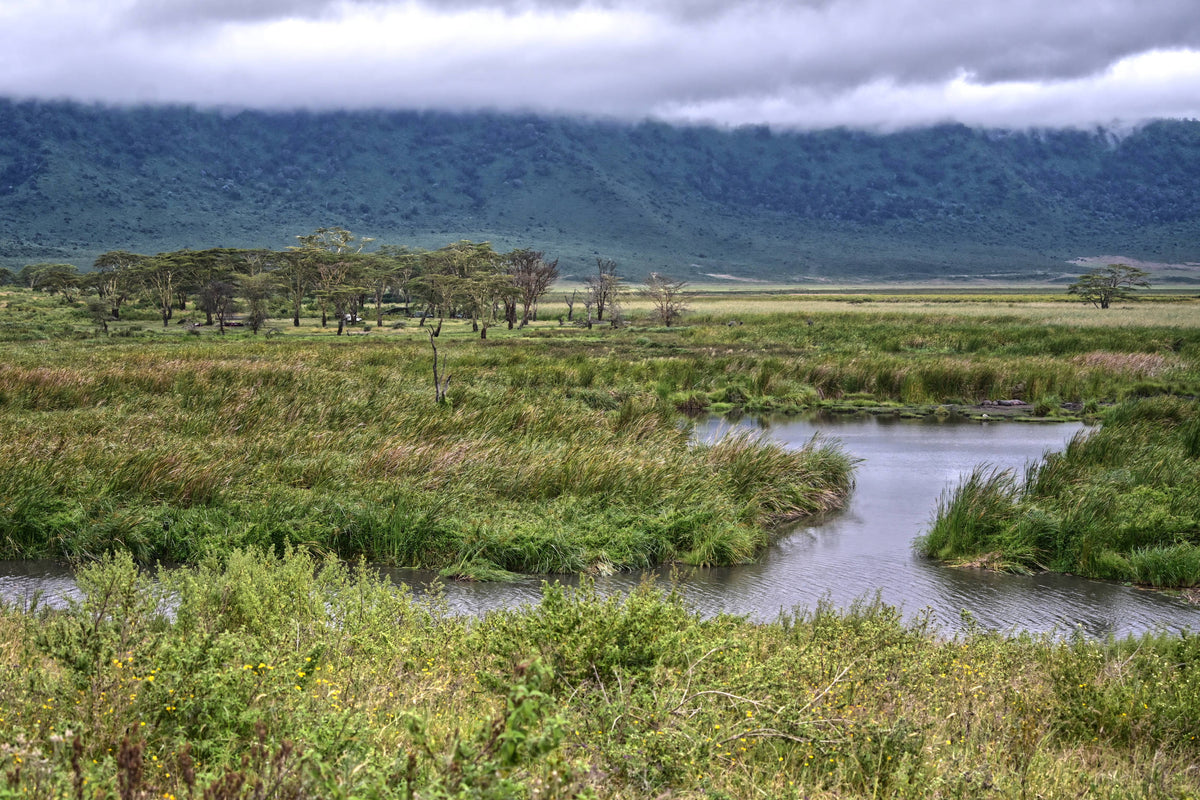 Watering Hole, Ngorongoro Crater, Tanzania