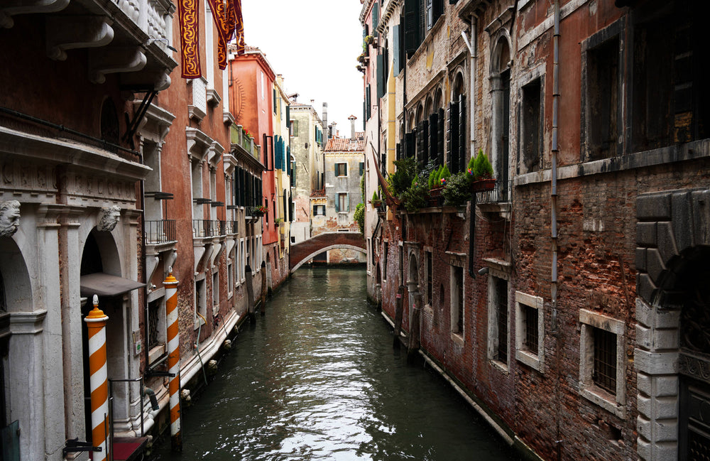 Venice Canal Living