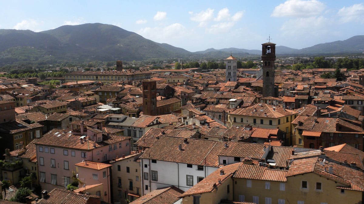 City of Lucca from Torre Guinigi
