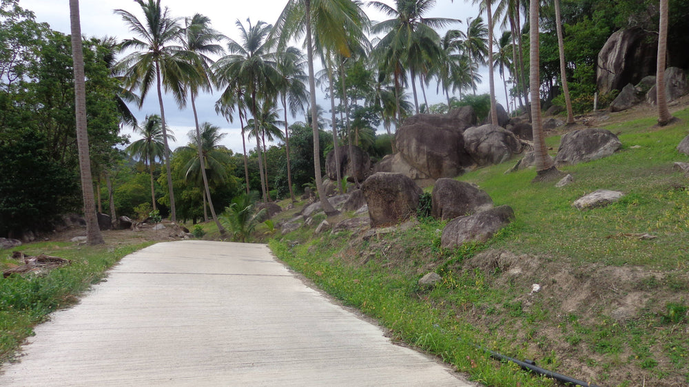 Old Coconut Plantation, Koh Toa, Thailand