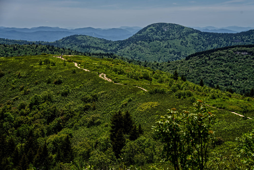 Art Loeb Trail on Black Balsam Knob, Pisgah National Forest