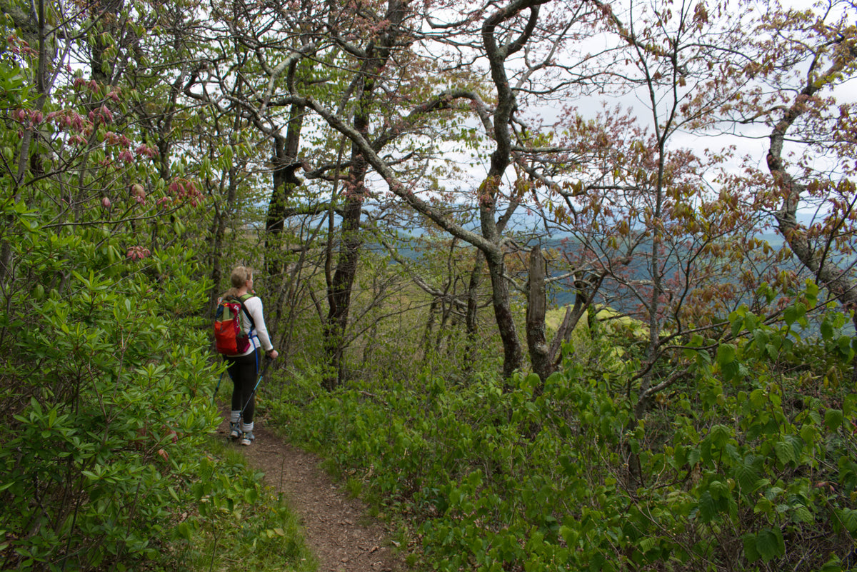 Hiker on Pilot Rock Trail in Pisgah National Forest