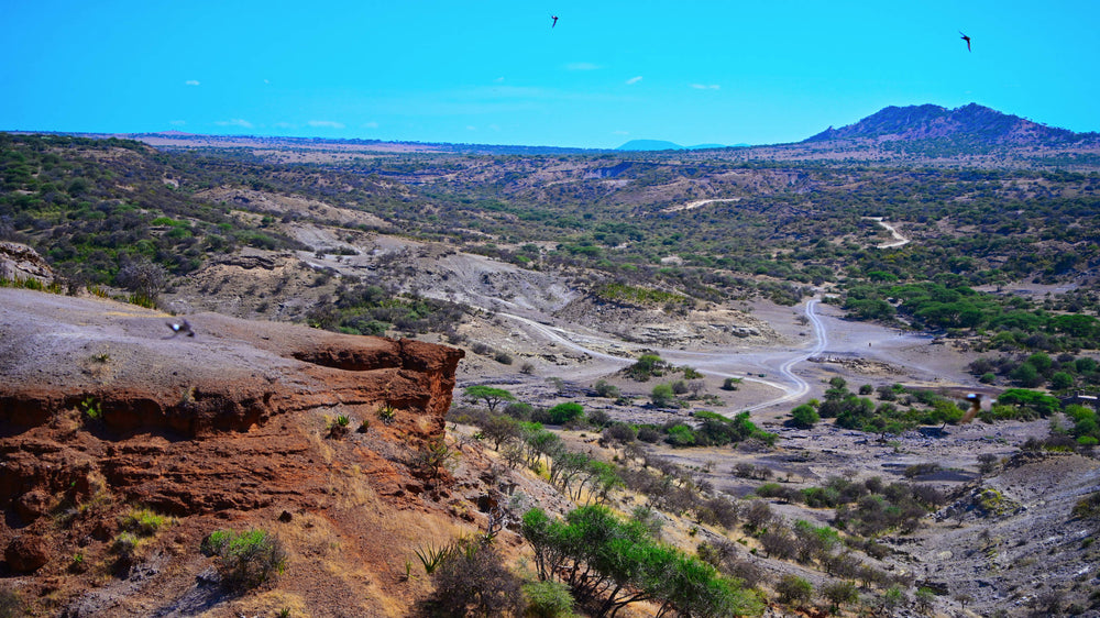 Olduvai Gorge, Tanzania