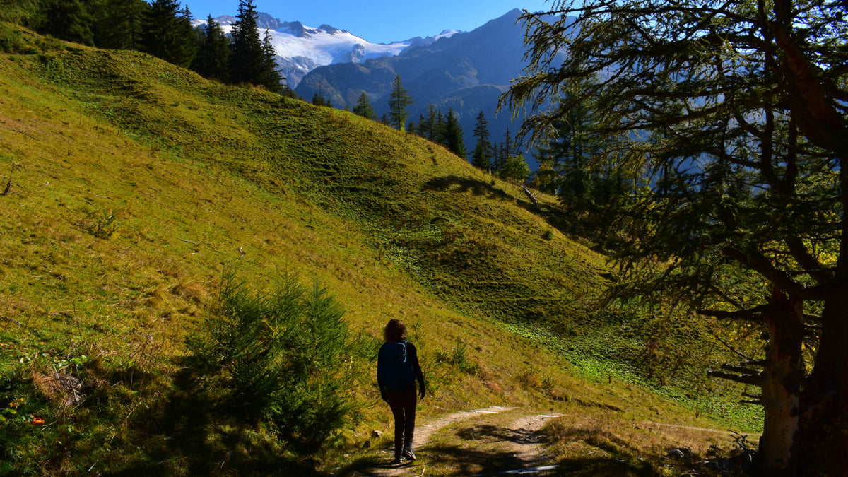Col de la Forclaz