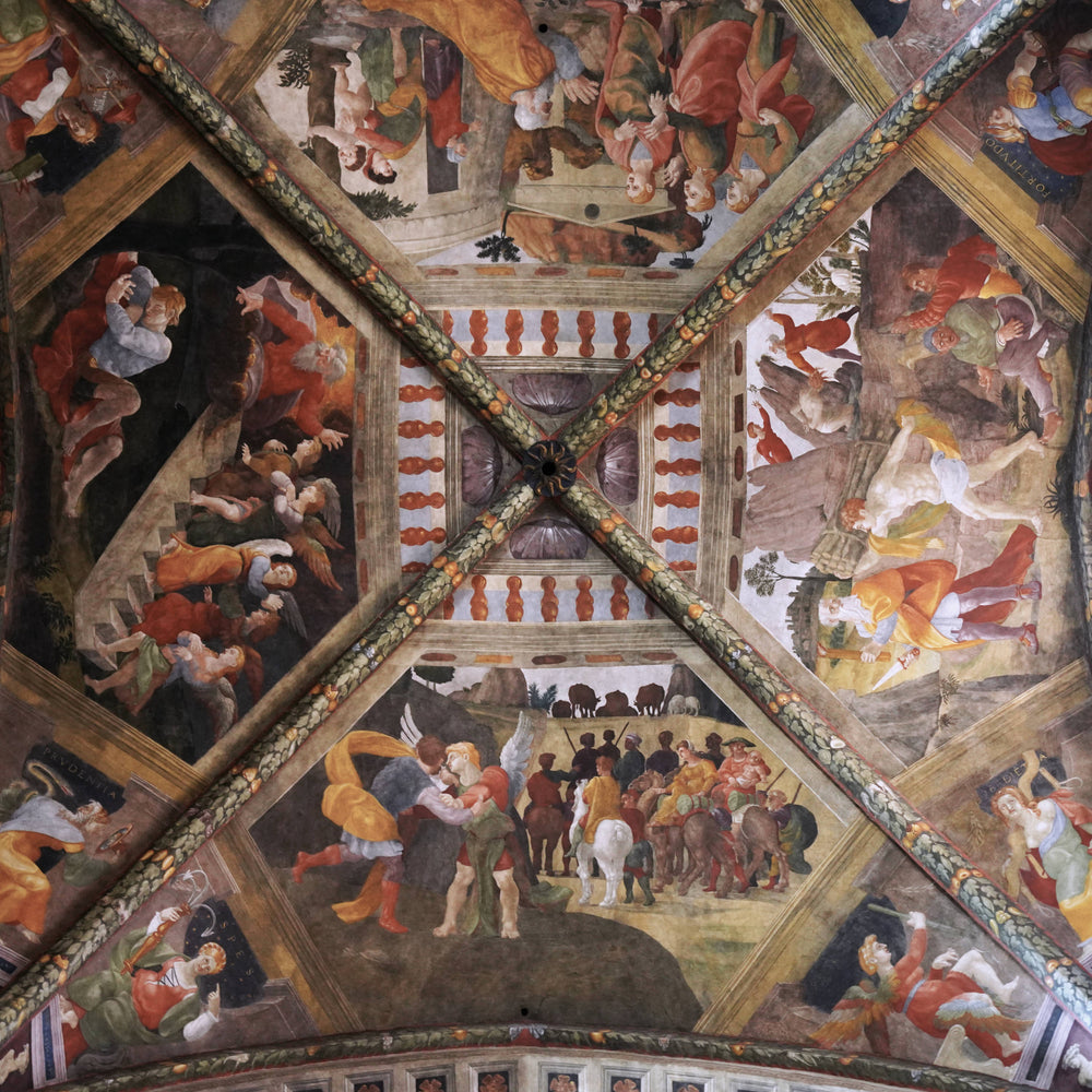 Ceiling Detail, Cattedrale di Arezzo