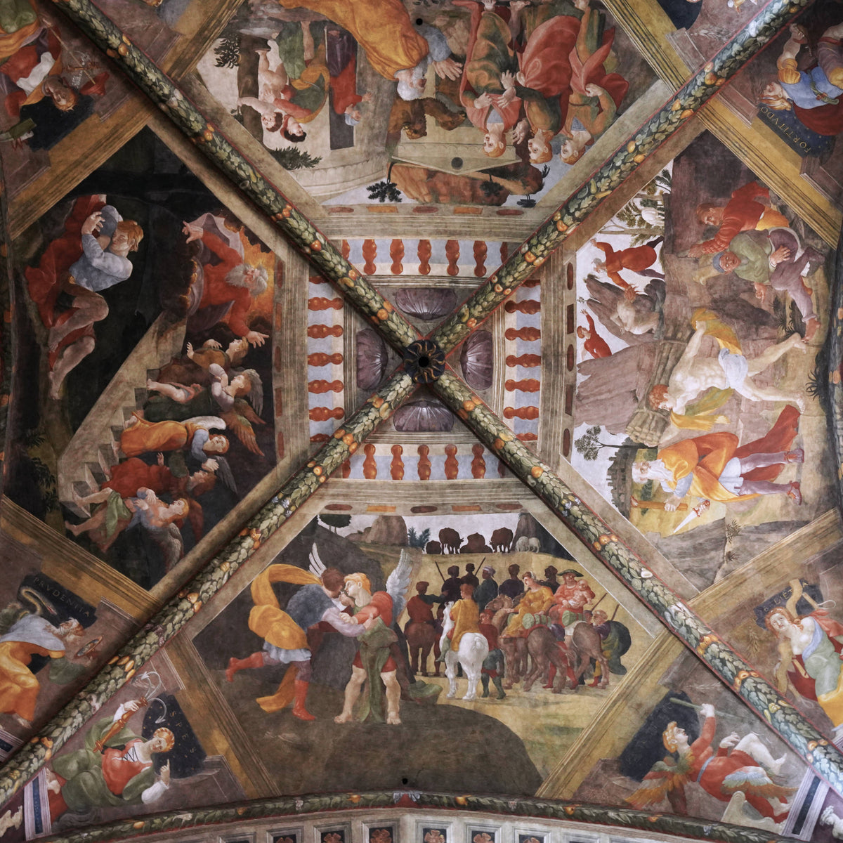 Ceiling Detail, Cattedrale di Arezzo