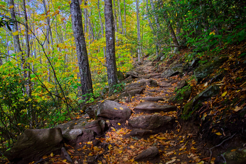 Skinnydip Falls Trail
