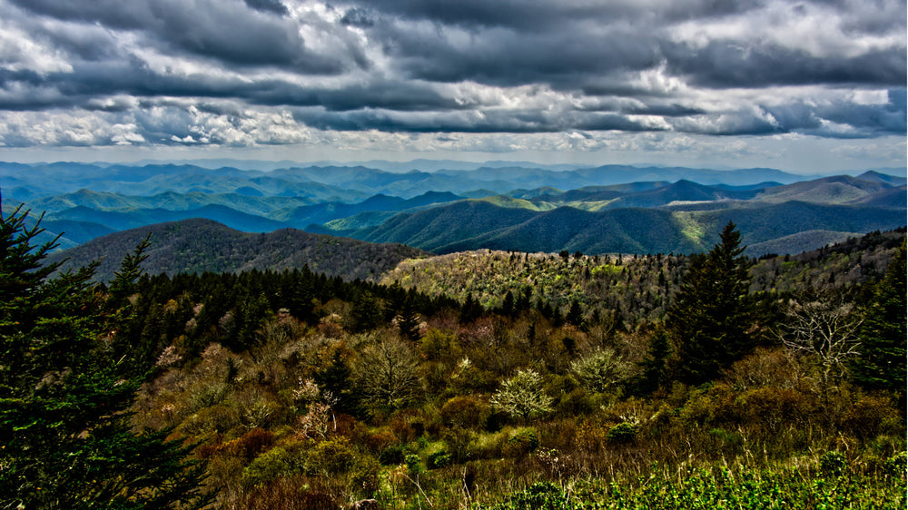 Southeast Ridgeline viewed from Waterrock Knob, North Carolina
