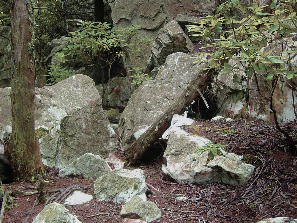Shining Rock