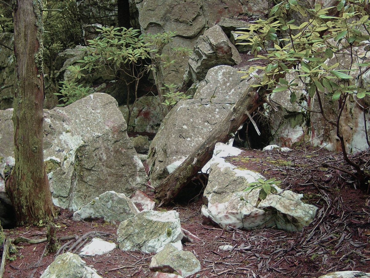 Shining Rock