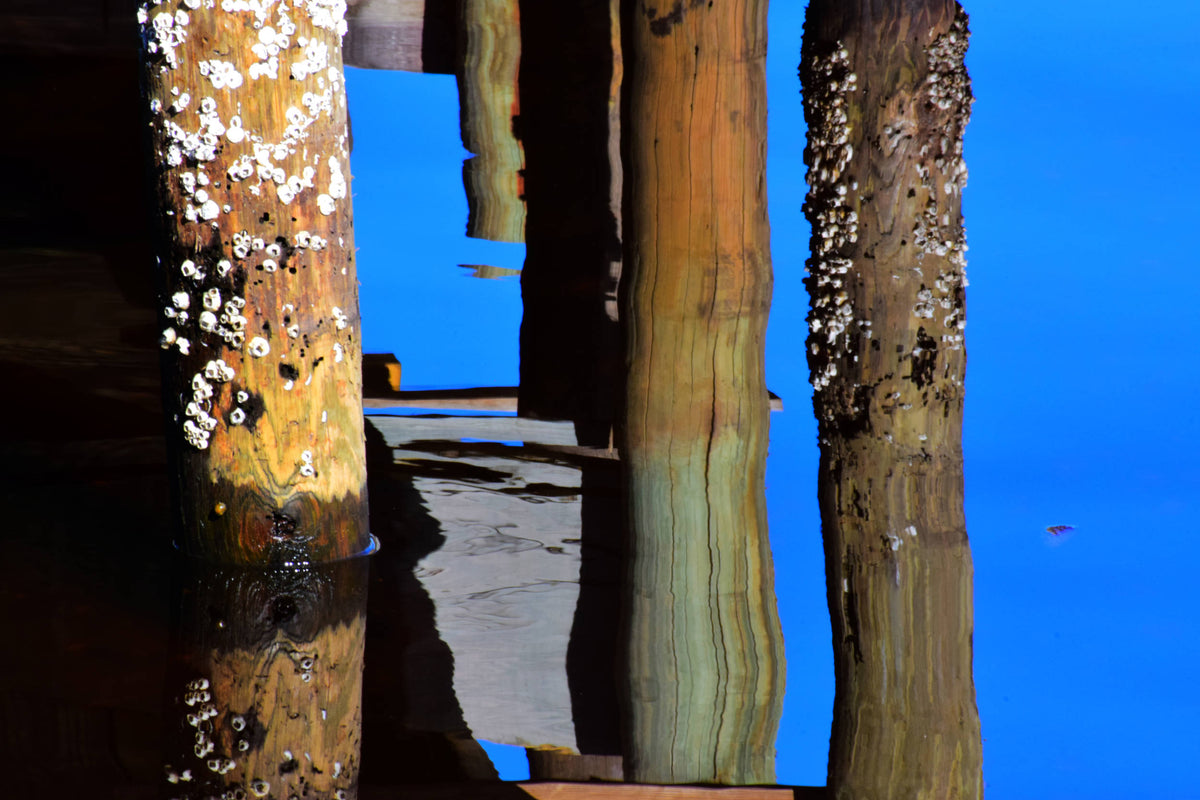 Unedited Puzzling Reflections in Ortega River Florida