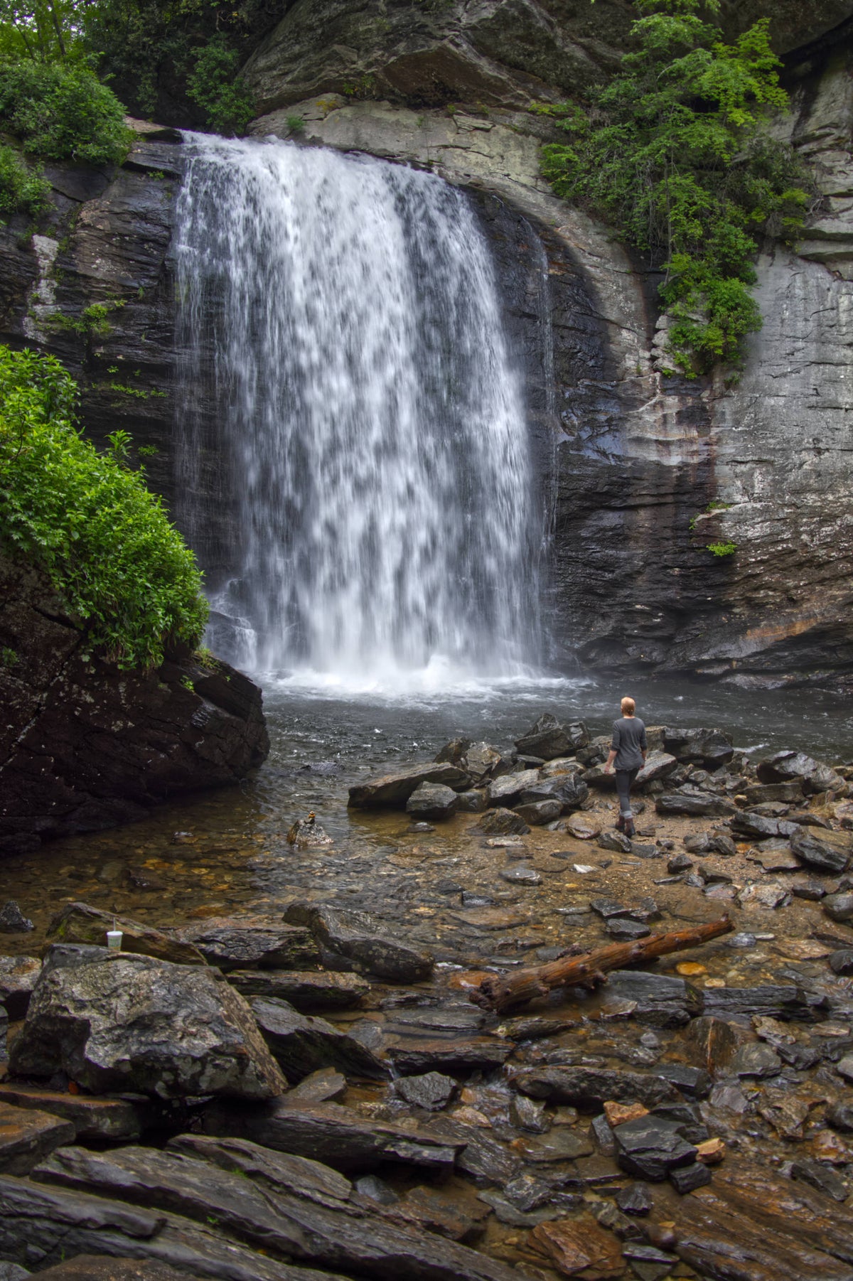Looking Glass Falls