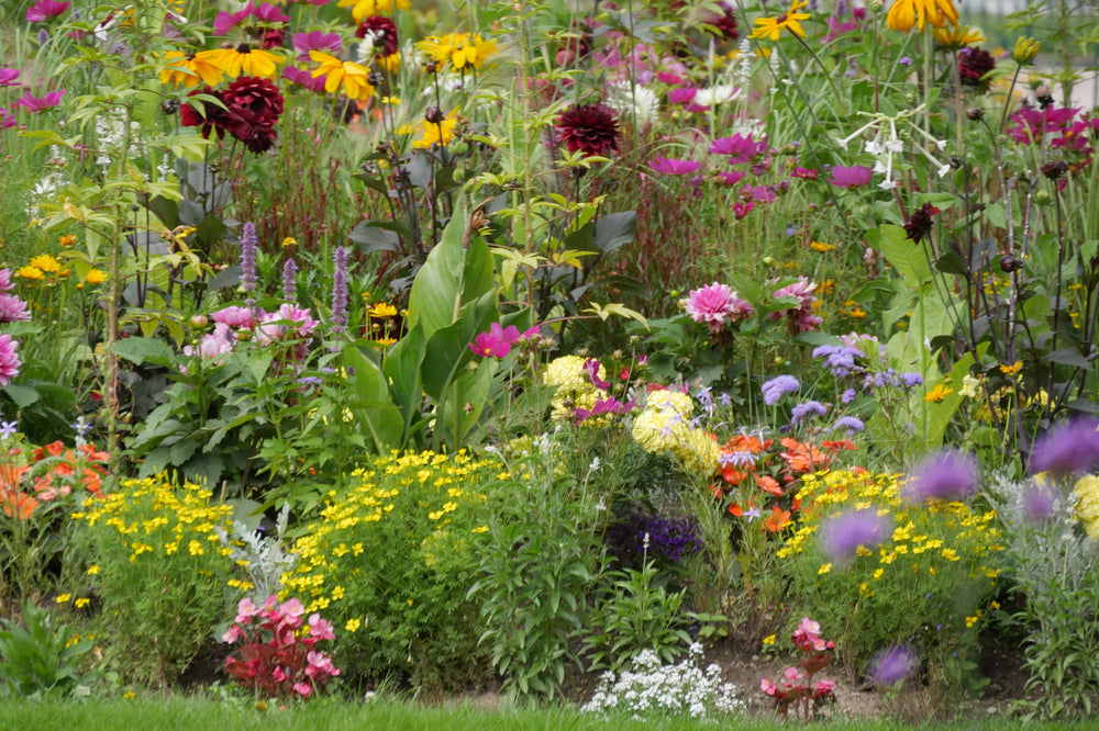 Public Flower Park in Chamonix France