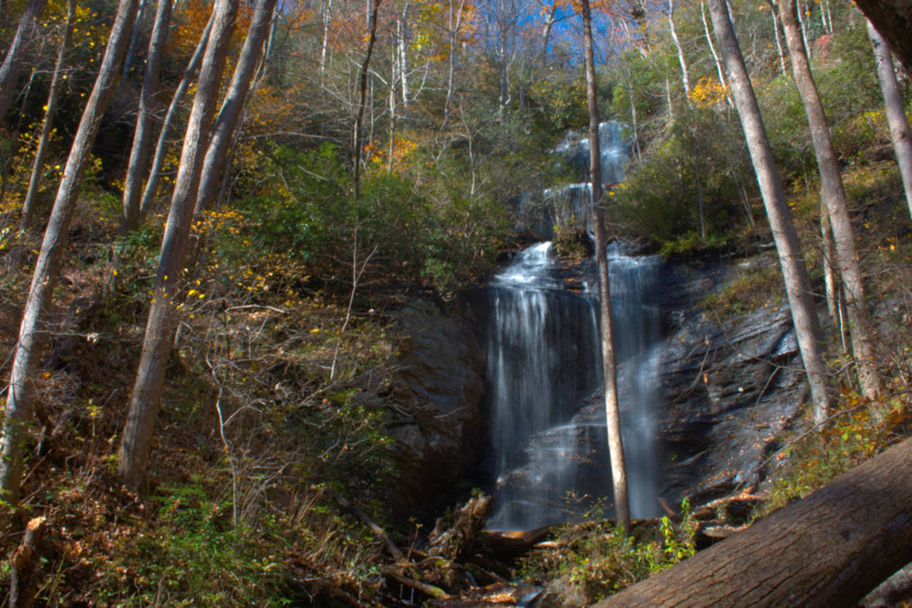 Twin Falls West