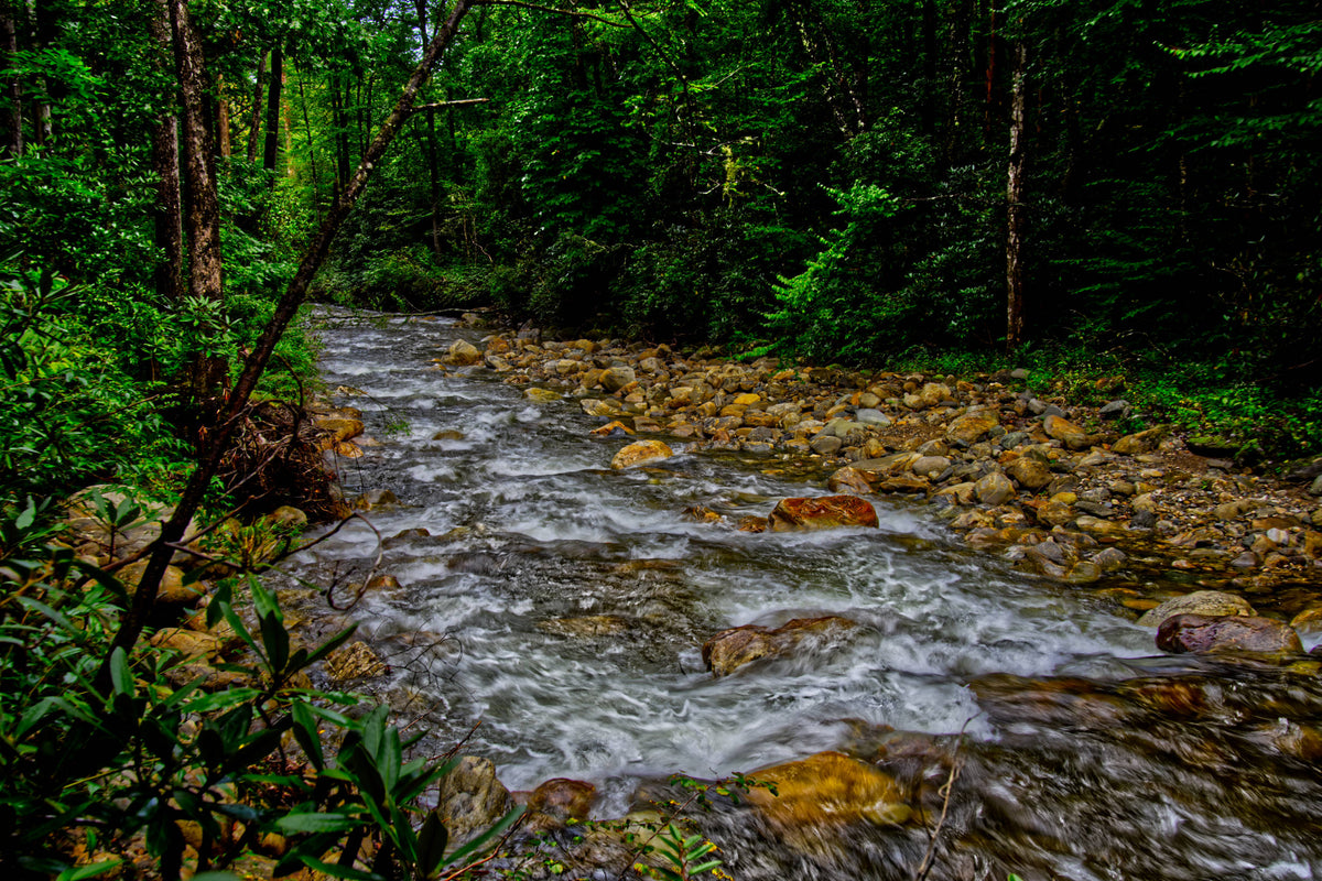 Streamflow